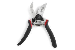 Hand Pruner - Technical